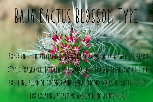 Baja Cactus Blossom Type